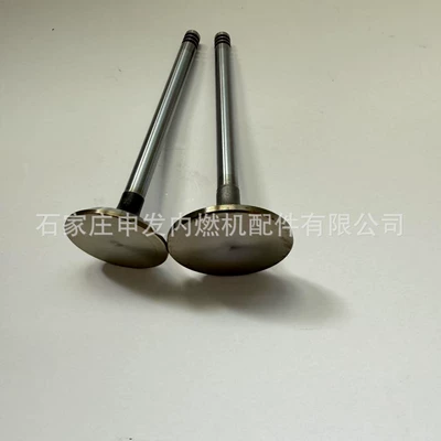 Valves and components Deutz D4D intake