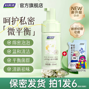 Fuyanjie Private Parts Cleaning Liquid, Female Care Liquid, Private Parts Foam Mousse Cleansing Agent, Female Private Care Liquid