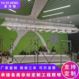 新中式房子吊灯创意酒店中式别墅茶室餐厅工程灯定制火锅店屋檐灯