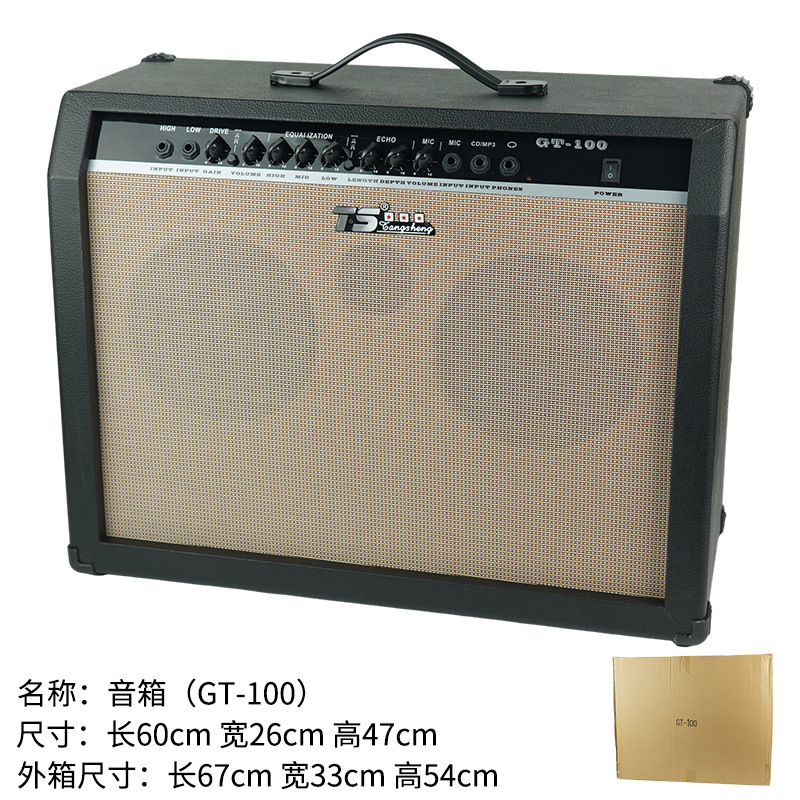 GT-100【스피커】