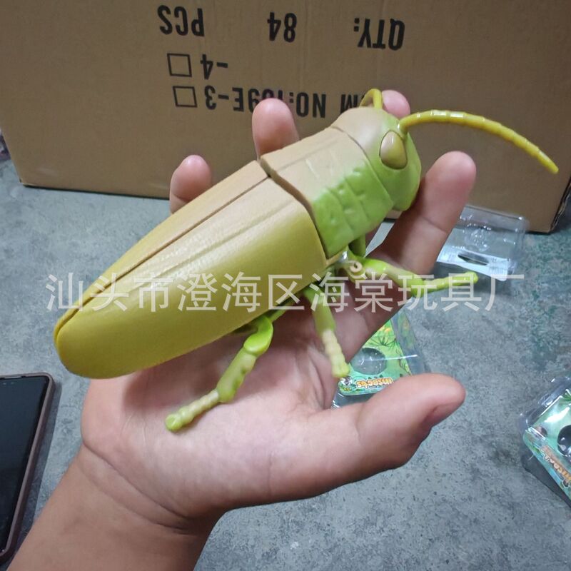 新款上链发条昆虫动物儿童认知小动物蚂蚱仿真模型独角仙小玩具|undefined