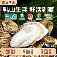 ؐ˾����ɽ�r��������5��GɫƷ�|ʳƷ��Ϡ��ĵϠ���r���r