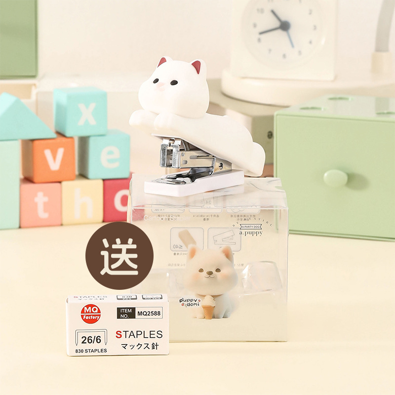 스테이플 상자가 있는 흰색 강아지 도미