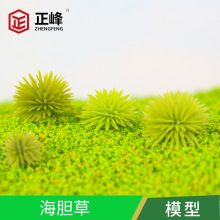 ��Ʒ��đ�����l ����ֲ��  DIY�Ƽ� ̦�\���� ΢���^�b�ֲ��[��