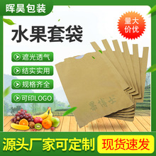 枇杷套袋专用袋梨袋桃袋芒果柑橘脐橙柚子套袋苹果水果套袋枇杷袋