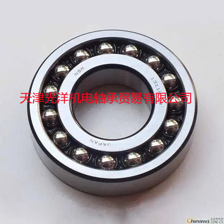 NSK轴承 1200 1201 1202 1203 1204 1205 1206 12071208 1209