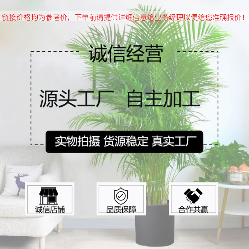 1663723416382_副本1