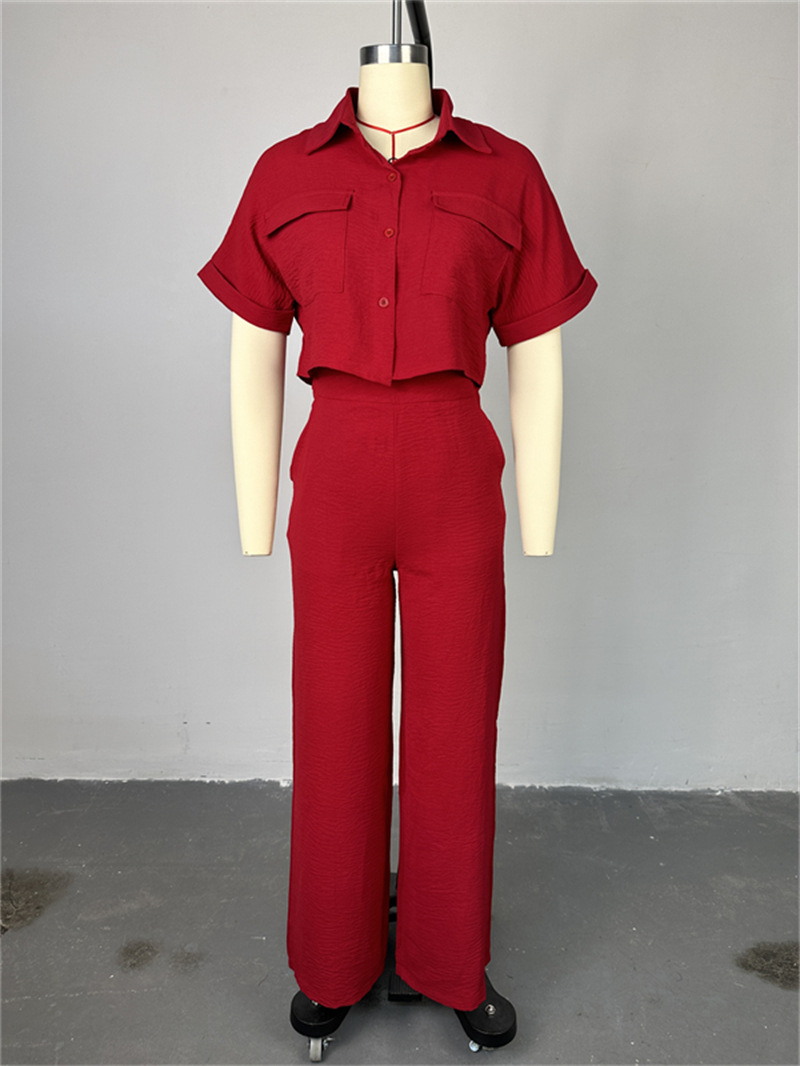 Holiday Daily Women's Casual Solid Color Polyester Button Pant Co-ord Set Pants Sets display picture 1