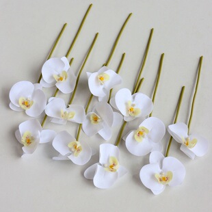 ����12�^�m���ָ��^�z�����m�ٻ��Ҿӻ�c�b[��diy�廨ˇ����
