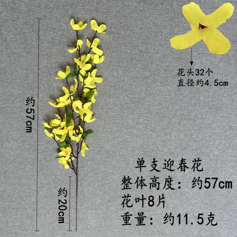 단일 겨울 재스민