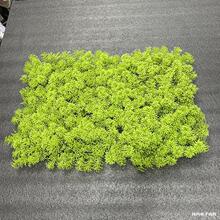 �\�G̦�����Ϸ�����̦�\��ƺ��Ƥ��qֲ��҃����y��ɫ�ݴu