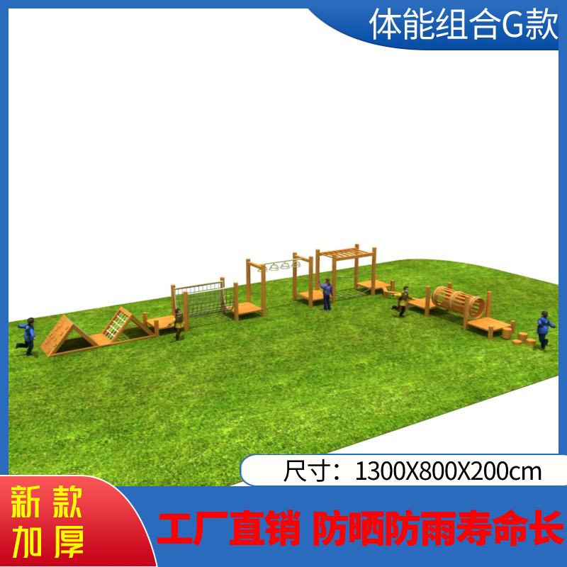 신체 조합 G 유형