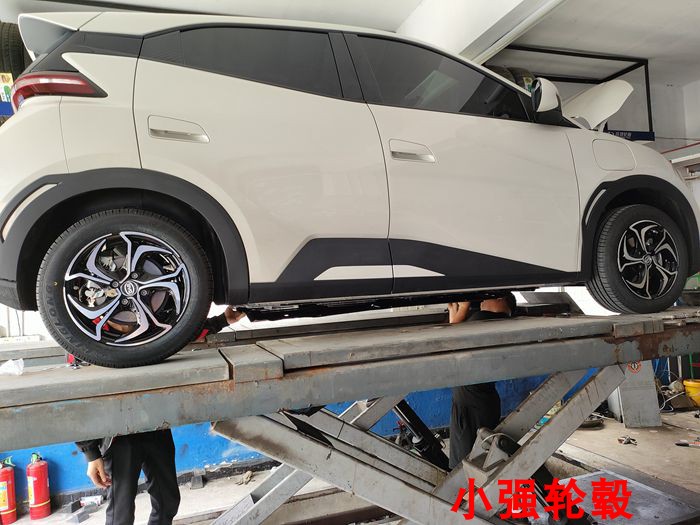 Suitable for Byd Su Rui Qin Dolphin Modified Seagull Hub Wheels