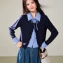 衬衫领女士新款条纹卫衣