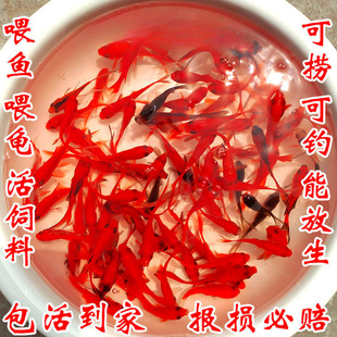 ������С�~��ˮ���B���ͻ����ˮ�~�^�p�~����С���~���~��һ��