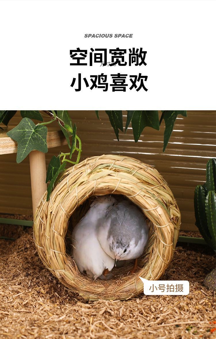 b7ee2917-6de0-4700-8547-8b61ee119af4.jpe