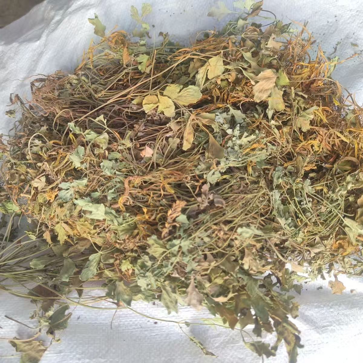 Yan Huang Lian Root (Corydalis saxicola) — Dried Bitter Food Herb for Cooking & Decoction key features