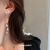 Silver needle, zirconium, earrings, European style, light luxury style