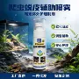 喷雾脱皮补充辅助守宫
