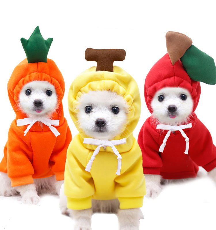 OEM personalizado perro gato mascota Otoño e Invierno fleece lindo Rana con capucha suéter pequeño mediano perro grande