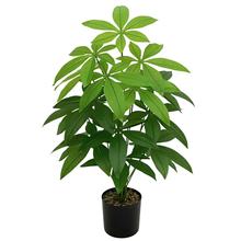 ����lؔ������ֲ�����Gֲ���ͼ٘�͏d�bGֲ��ؼٻ��辰��