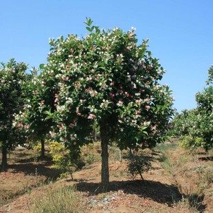 һ�����lͥԺ�G���t�����\����N���绨�~�\������\���������\��