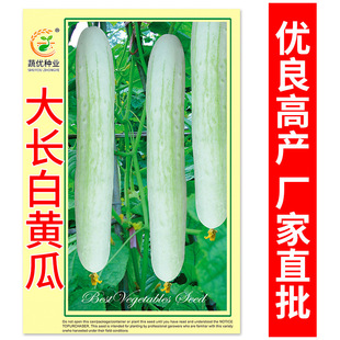 ���l�ˈ@�߲˷N�Ӵ��L���S��50�������̨Ժ�ӷN�Ӳ��� �S�ҹ���