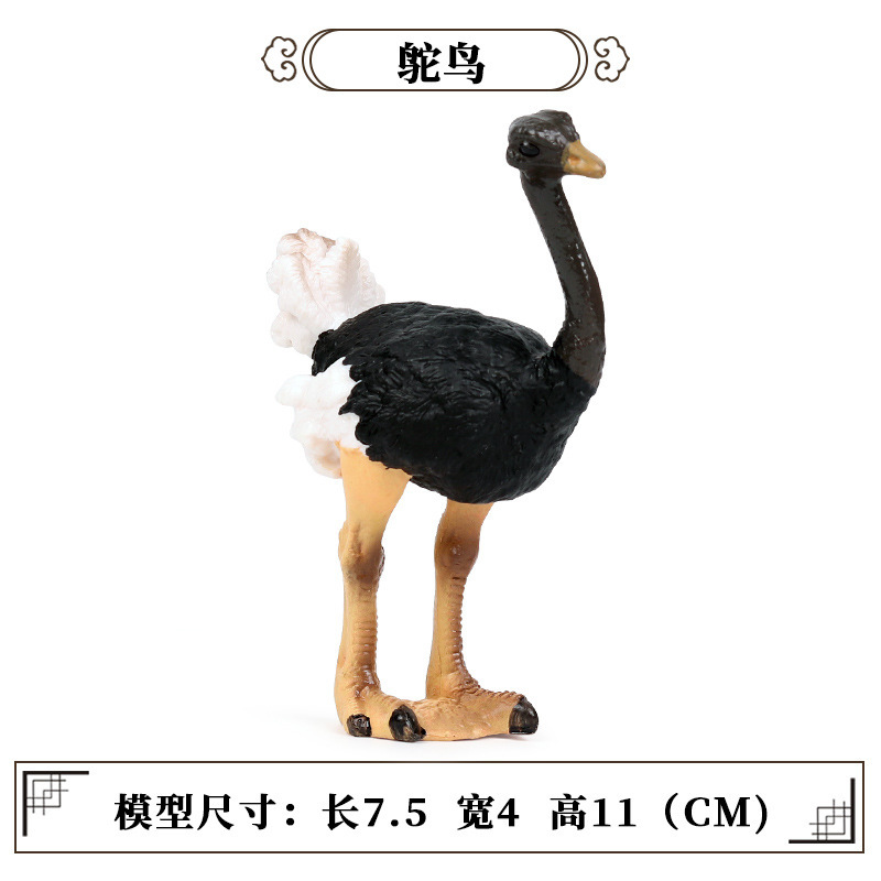 626 Ostrich【0.067KG】