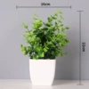 Eucalyptus + medium square basin
