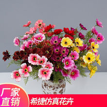 Sl7^mշСr ˹ռҾӔzӰbʾշ滨