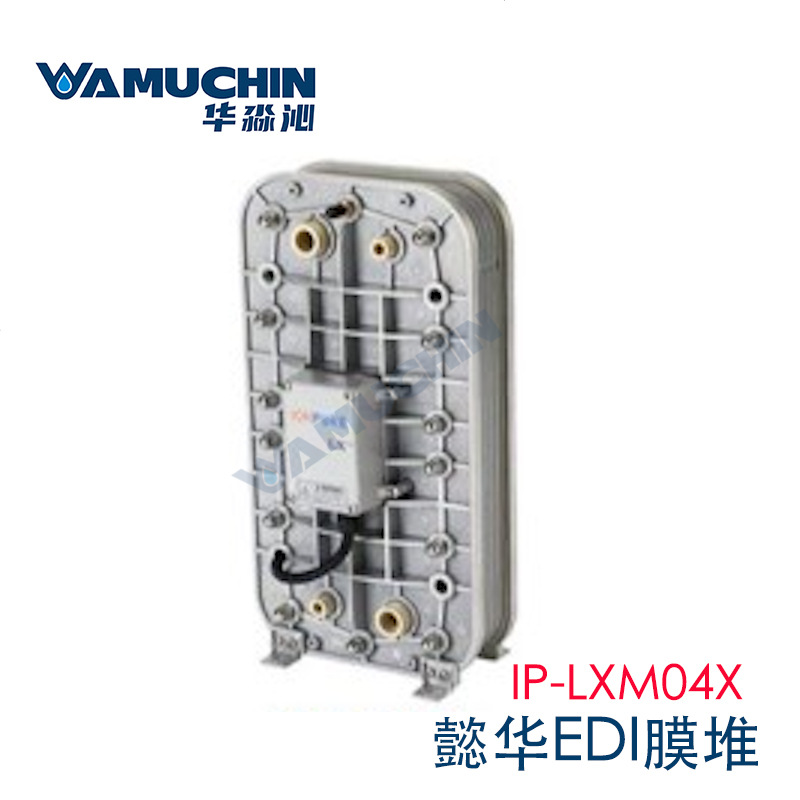美国懿华膜堆IP-LXM04X连续去离子纯水设备 卫生级edi模块