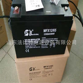 珠海派士博铅酸蓄电池MFX12/65免维护12V65AH风能发电 MFX12/65