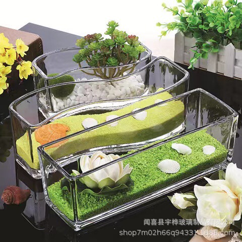 Hydroponic plants glass bottle square cylinder simple vase transparent green radish water lily copper money grass water culture flower pot utensils ornaments