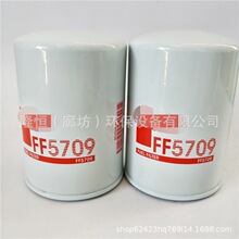 FF5709������оH17WK10 33987 11711074 P554620ȼ��������