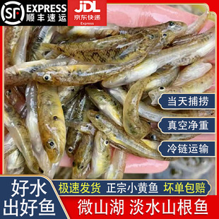 ΢ɽ��С�S�~ɽ���~��ˮ���r���w�ك��l؛ɳ���~Сʯ�~ɳ��С���~