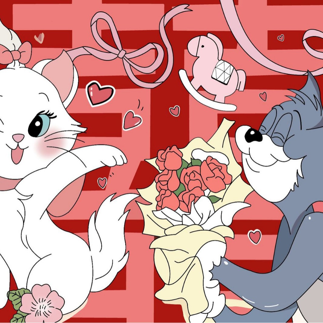 흰 고양이 회색 고양이