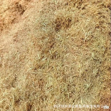 �����������w�S ߅�¾G�����w�S �o�¾G�����w�S �Vɽ�ޏͲ��w�S