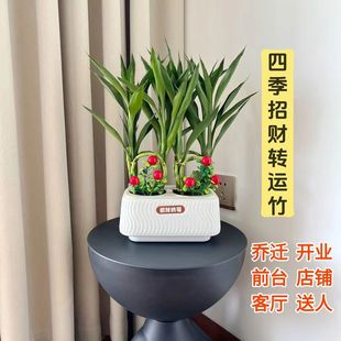 �������F���D�\��lؔ����N������˺��B��լ���ӏS�����l���u