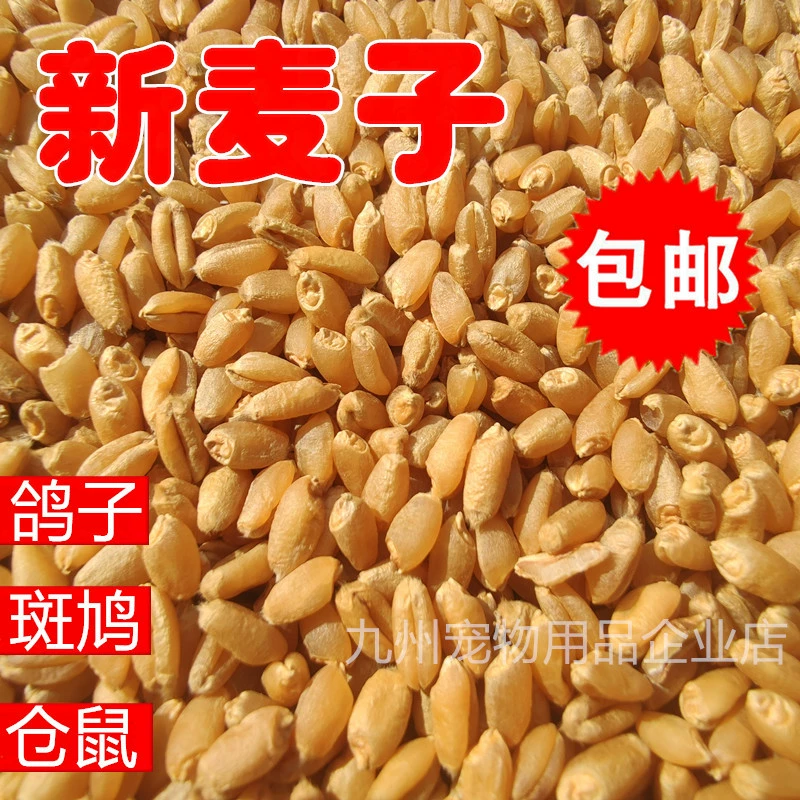 Новая Пшеница голубь питание Turtledove хомяк питание питательное питание корм птица еда Гонки Pigeon Генеральная голубь питание