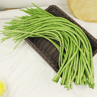 �����L���߲˼����˰ײ˶����S�����ӿ�����t�����������}������