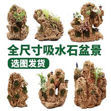 奇石石头上水石水秀小摆件家居装饰吸奇石水石盆景假山石鱼缸造景