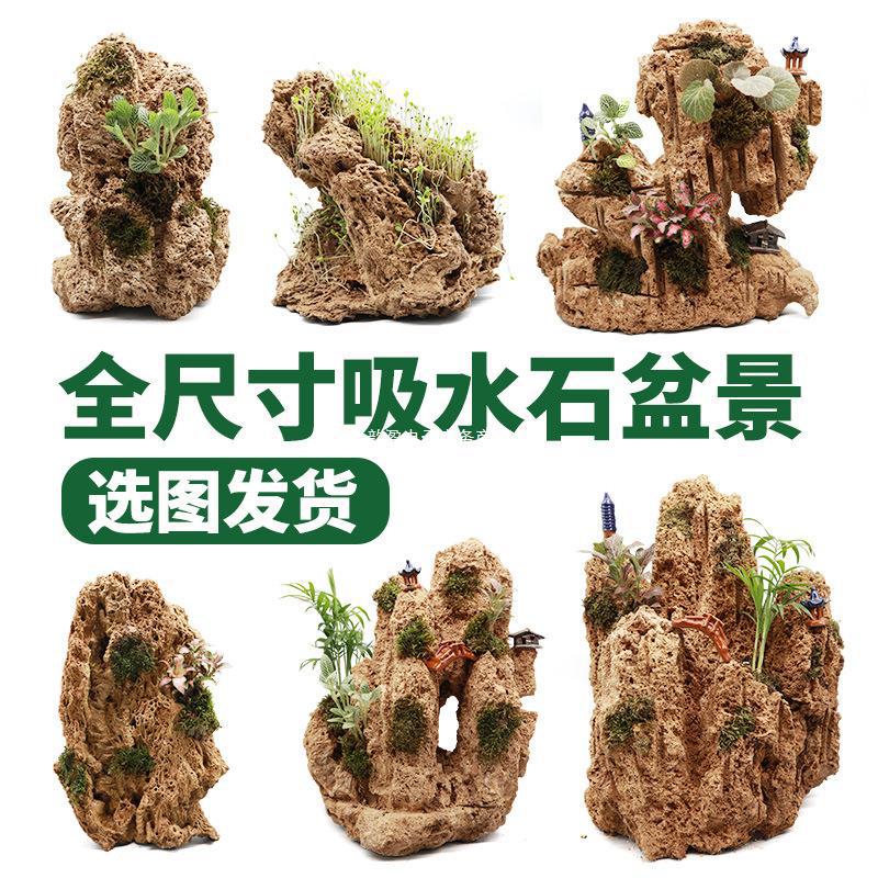 吸水石盆景上水石假山石奇石鱼缸造景家居装饰水秀石头奇石小摆件
