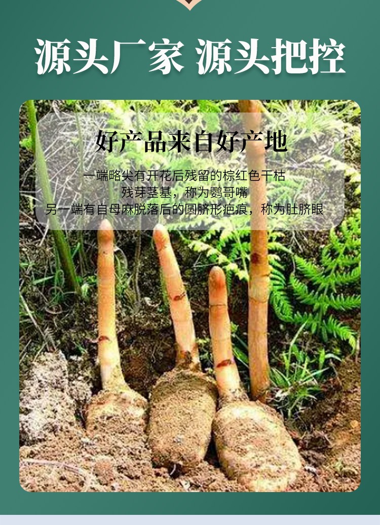 Dried Gastrodia Root Tian Ma 500g Sulfur-Free Wild-Simulated Dabie Mountain Herb for Decoction and Soup overview