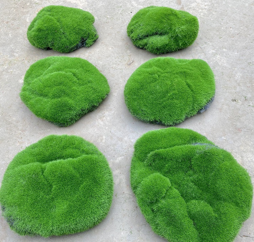 3 pieces of bulging dark moss (10-20cm each)