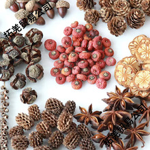 ȻӘ˱}Qhֹdiyɻɹ׃@bϰ