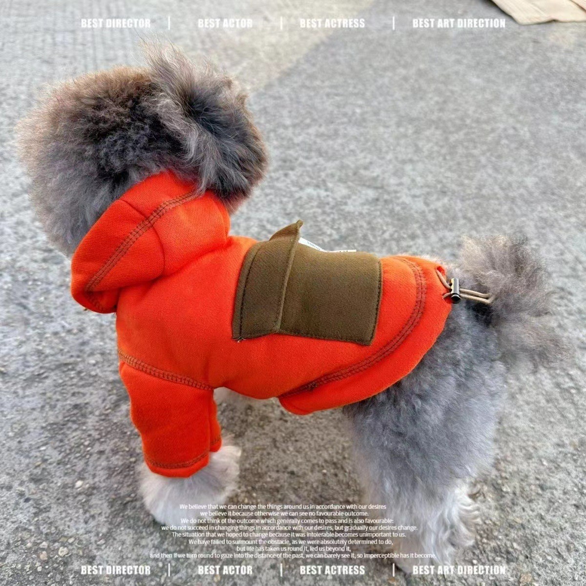 Lindo suéter de cachorro de primavera, otoño e invierno, traje de dos patas de gato, cachorro de perro pequeño, oso de peluche, ropa de oso de peluche