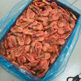 北极甜虾整箱10斤装23年捕捞海藻虾北极大号黑头虾头籽腹籽