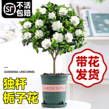 ���U�d�ӻ������������ļ��_����ֲ���҃��⎧�����Ϙ�Φ�ӻ�����