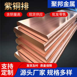 现货供应T2/T3紫铜排扁条C1100导电镀锡铜排异形铜排加工批发零切