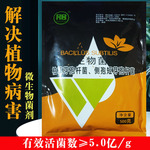 厂家批发枯草芽孢杆菌防重茬疏松土壤改良土质板结水溶微生物菌剂